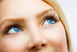 Close Up of Eyes